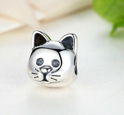 pandora Curious Cat Meow Pet Animal Charm