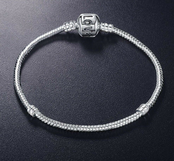 love clasp moments starter charm bracelet