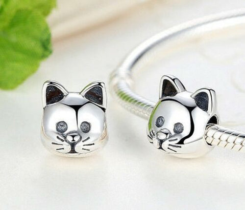 Pandora curious cat charm on sale