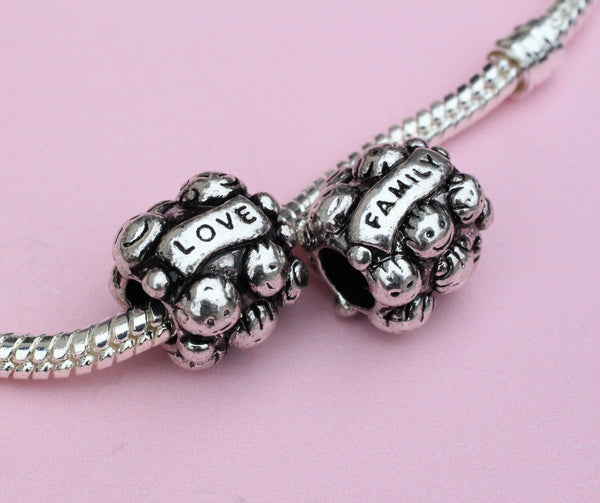 Silver Plated Family Ties Love Bond Charm