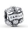 Family Ties Love Bond Charm fits pandora bracelets